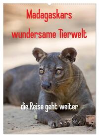 Vorderes Coverbild Madagaskars wundersame Tierwelt - die Reise geht weiter (Wandkalender 2025 DIN A2 hoch), CALVENDO Monatskalender