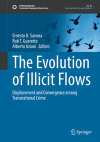Vorderes Coverbild The Evolution of Illicit Flows