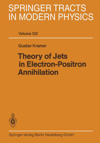 Vorderes Coverbild Theory of Jets in Electron-Positron Annihilation