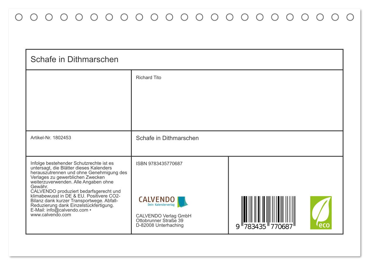 Beispielinhalt (Bild) Schafe in Dithmarschen (Tischkalender 2025 DIN A5 quer), CALVENDO Monatskalender