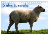 Vorderes Coverbild Schafe in Dithmarschen (Tischkalender 2025 DIN A5 quer), CALVENDO Monatskalender