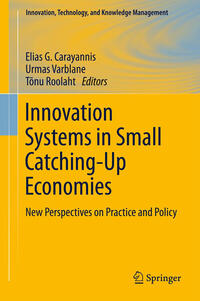 Vorderes Coverbild Innovation Systems in Small Catching-Up Economies