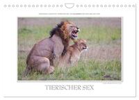 Vorderes Coverbild Emotionale Momente: Tierischer Sex. (Wandkalender 2026 DIN A4 quer), CALVENDO Monatskalender