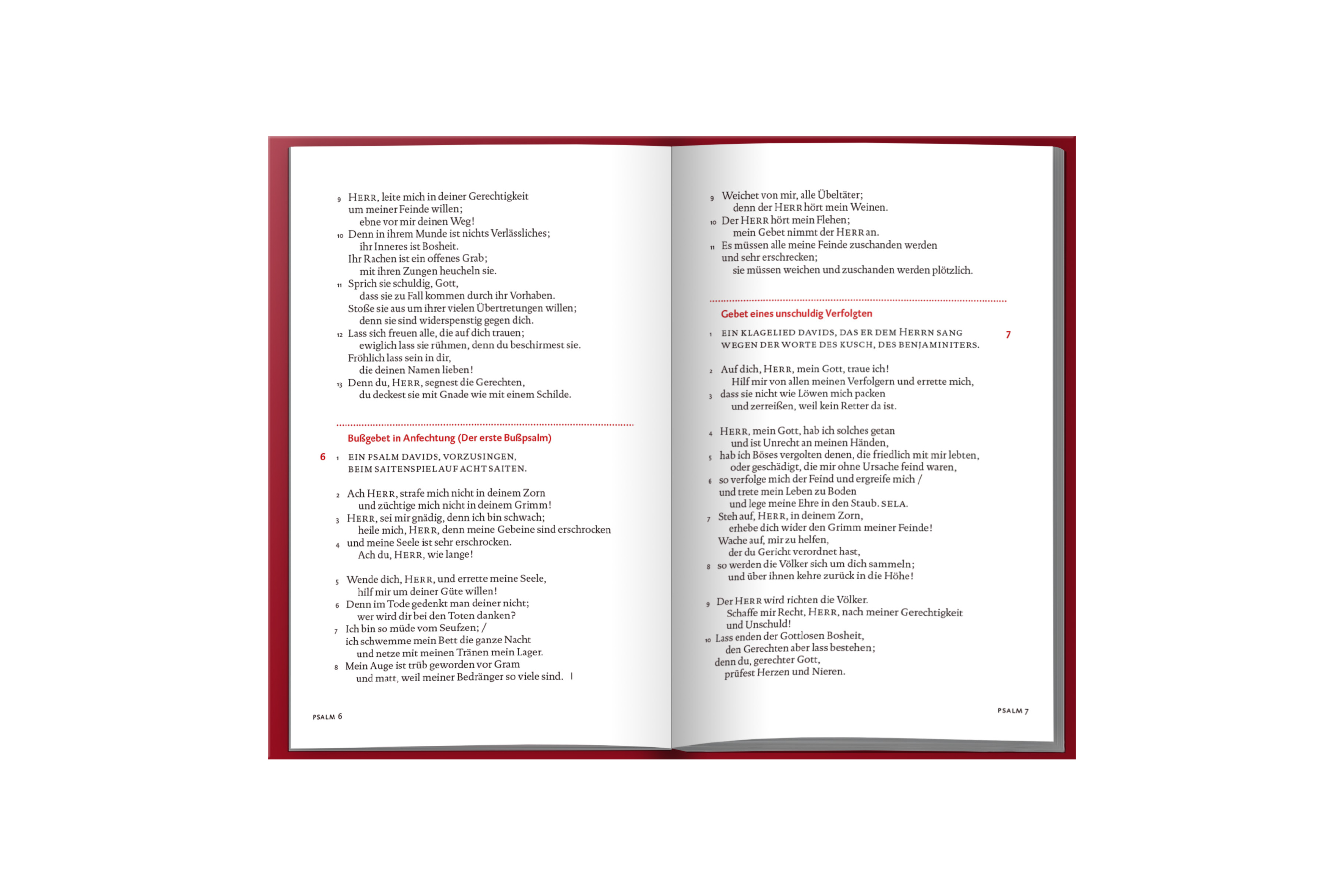 Beispielinhalt (Bild) Der Psalter