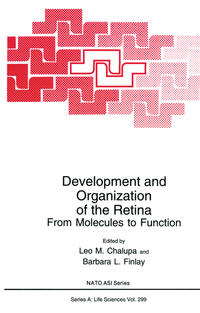 Vorderes Coverbild Development and Organization of the Retina
