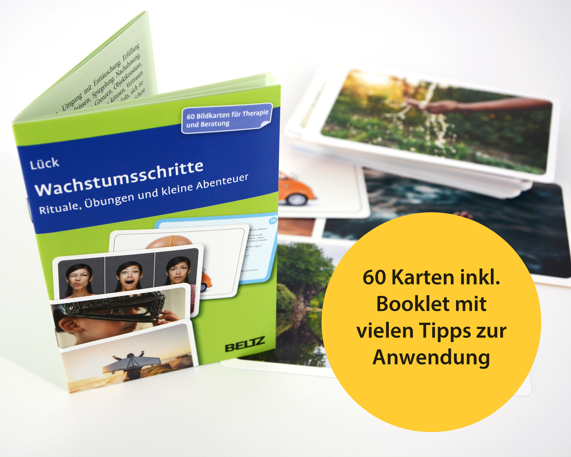 Beispielinhalt (Bild) Wachstumsschritte