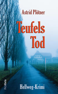 Vorderes Coverbild Teufels Tod