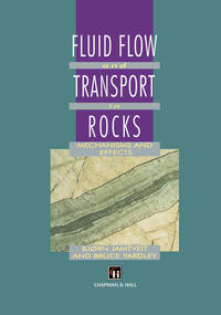 Vorderes Coverbild Fluid Flow and Transport in Rocks