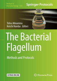 Vorderes Coverbild The Bacterial Flagellum