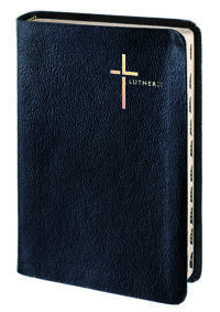 Vorderes Coverbild Luther21