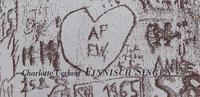 Vorderes Coverbild Finnisch Singen