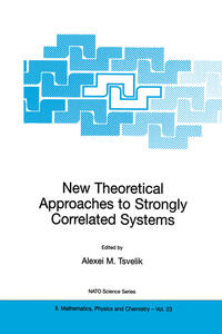 Vorderes Coverbild New Theoretical Approaches to Strongly Correlated Systems