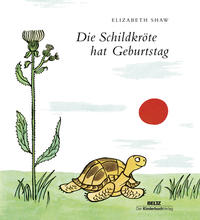 Vorderes Coverbild Die Schildkröte hat Geburtstag