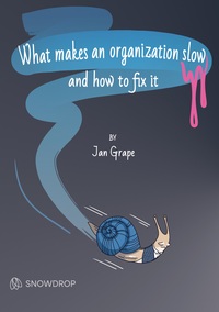 Vorderes Coverbild What makes an organization slow and how to fix it