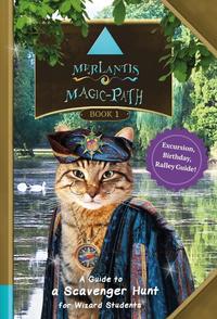 Vorderes Coverbild Merlantis Magic Path