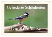 Vorderes Coverbild Gefiederte Schönheiten - Die Kohlmeise (Wandkalender 2025 DIN A3 quer), CALVENDO Monatskalender