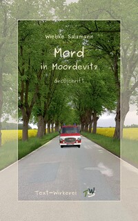 Vorderes Coverbild Mord in Moordevitz