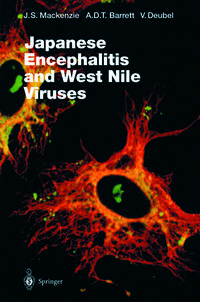 Vorderes Coverbild Japanese Encephalitis and West Nile Viruses