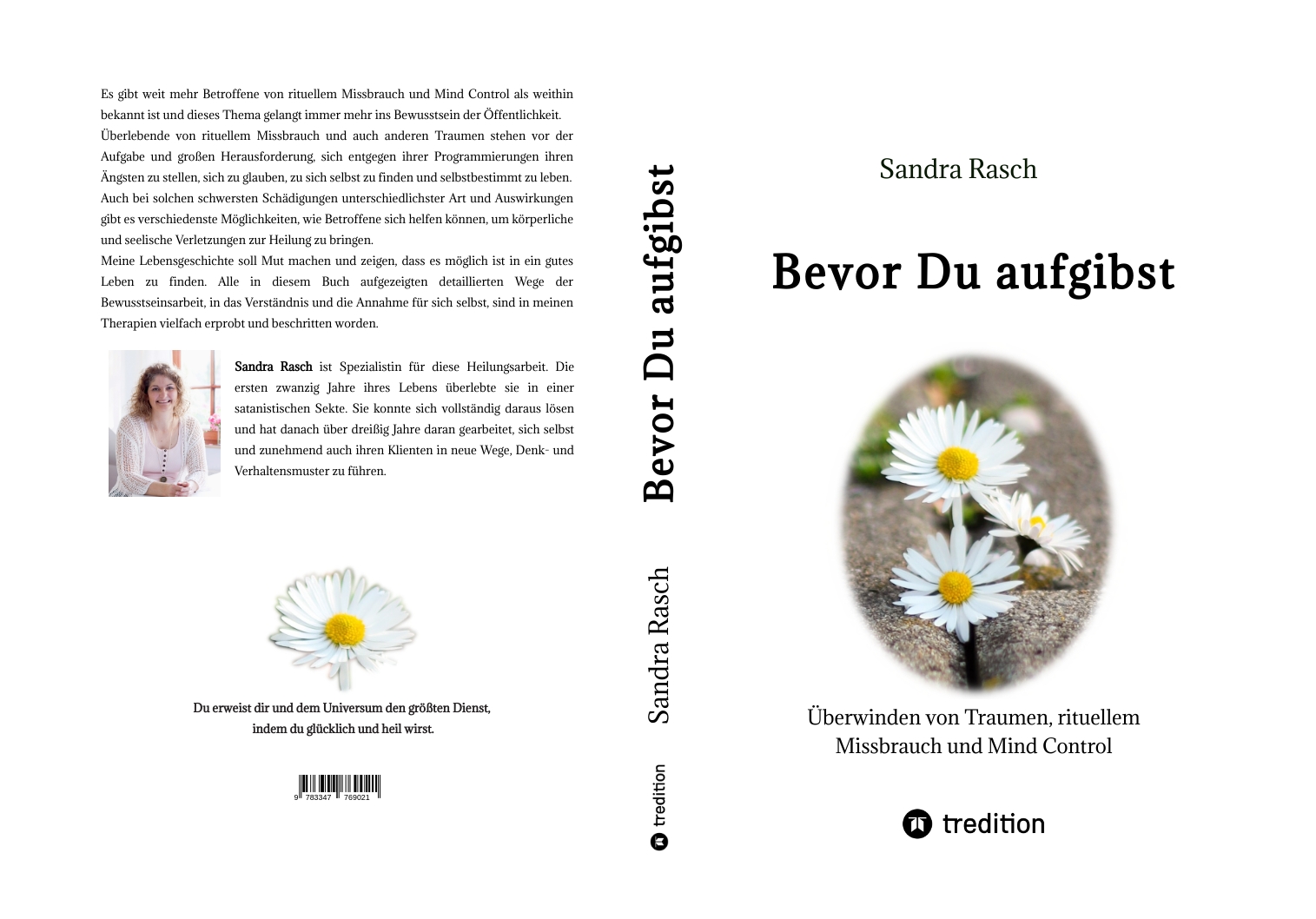 Gesamtes Coverbild Bevor Du aufgibst