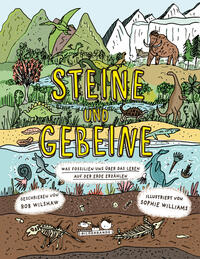 Vorderes Coverbild Steine und Gebeine