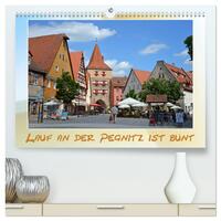 Vorderes Coverbild Lauf an der Pegnitz ist bunt (hochwertiger Premium Wandkalender 2025 DIN A2 quer), Kunstdruck in Hochglanz