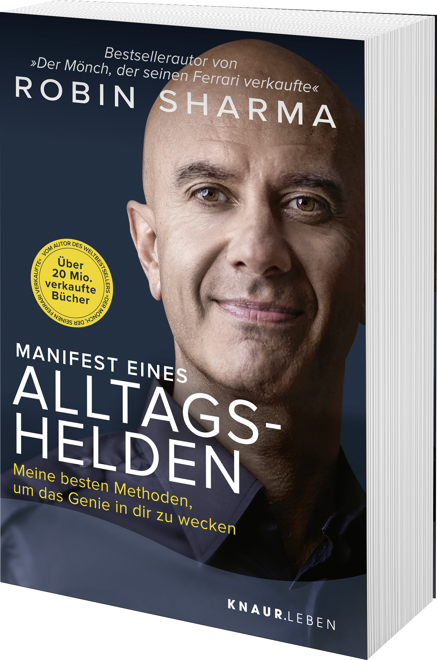 Anderes Coverbild Manifest eines Alltagshelden