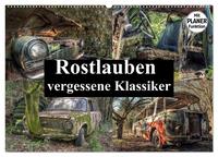Vorderes Coverbild Rostlauben - vergessene Klassiker (Wandkalender 2025 DIN A2 quer), CALVENDO Monatskalender
