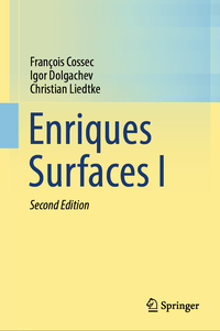 Vorderes Coverbild Enriques Surfaces I