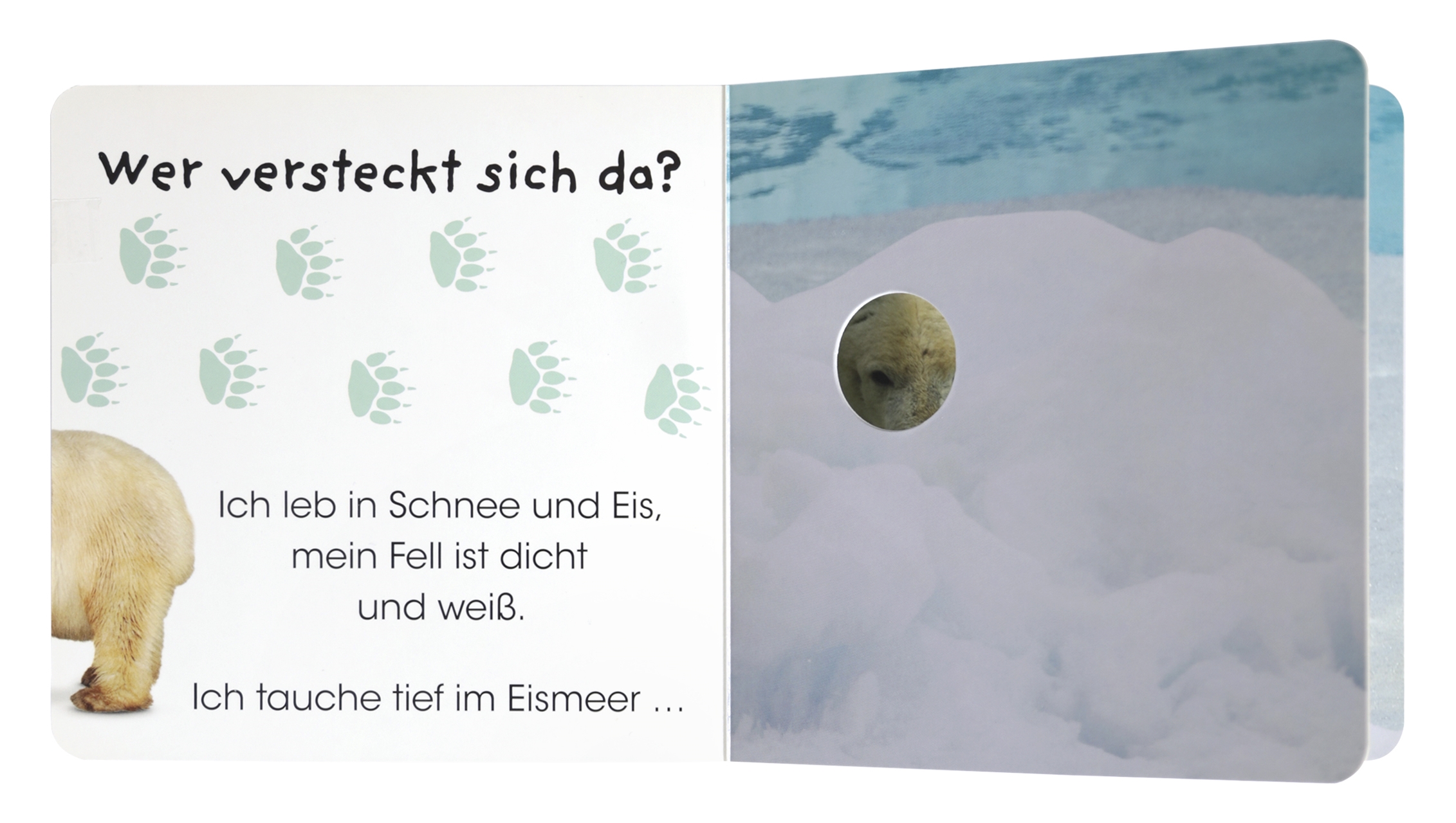 Beispielinhalt (Bild) Wer versteckt sich da. Im Zoo