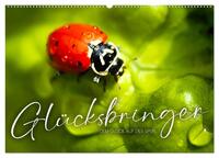 Vorderes Coverbild Glücksbringer - Dem Glück auf der Spur. (Wandkalender 2025 DIN A2 quer), CALVENDO Monatskalender