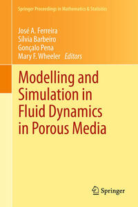 Vorderes Coverbild Modelling and Simulation in Fluid Dynamics in Porous Media