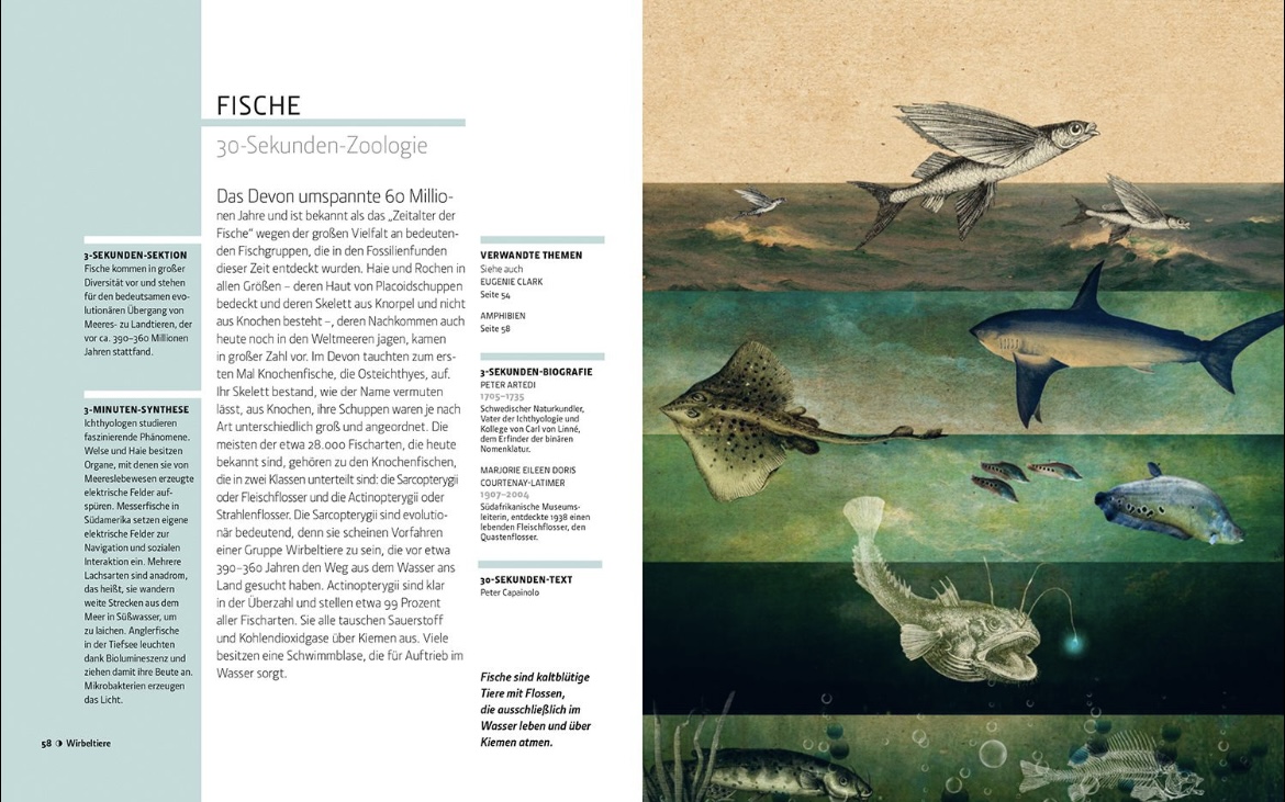 Beispielinhalt (Bild) Zoologie in 30 Sekunden