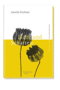 Vorderes Coverbild Licht und Schatten