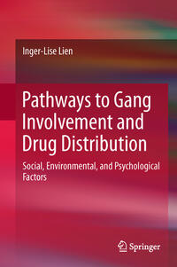 Vorderes Coverbild Pathways to Gang Involvement and Drug Distribution