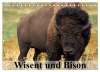 Vorderes Coverbild Wisent und Bison (Tischkalender 2025 DIN A5 quer), CALVENDO Monatskalender