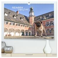 Vorderes Coverbild Reinbek mopsfidel (hochwertiger Premium Wandkalender 2025 DIN A2 quer), Kunstdruck in Hochglanz