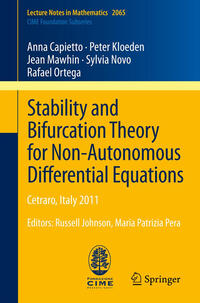 Vorderes Coverbild Stability and Bifurcation Theory for Non-Autonomous Differential Equations