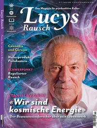 Vorderes Coverbild Lucys Rausch Nr. 11
