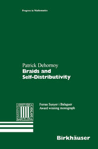 Vorderes Coverbild Braids and Self-Distributivity