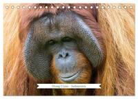 Vorderes Coverbild Orang Utans - Indonesien (Tischkalender 2026 DIN A5 quer), CALVENDO Monatskalender