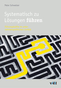 Vorderes Coverbild Systematisch zu Lösungen führen