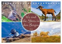 Vorderes Coverbild Wir sind die Stars in den Bergen (Tischkalender 2026 DIN A5 quer), CALVENDO Monatskalender