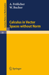 Vorderes Coverbild Calculus in Vector Spaces without Norm