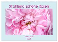 Vorderes Coverbild Strahlend schöne Rosen (Wandkalender 2025 DIN A3 quer), CALVENDO Monatskalender