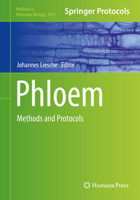 Vorderes Coverbild Phloem