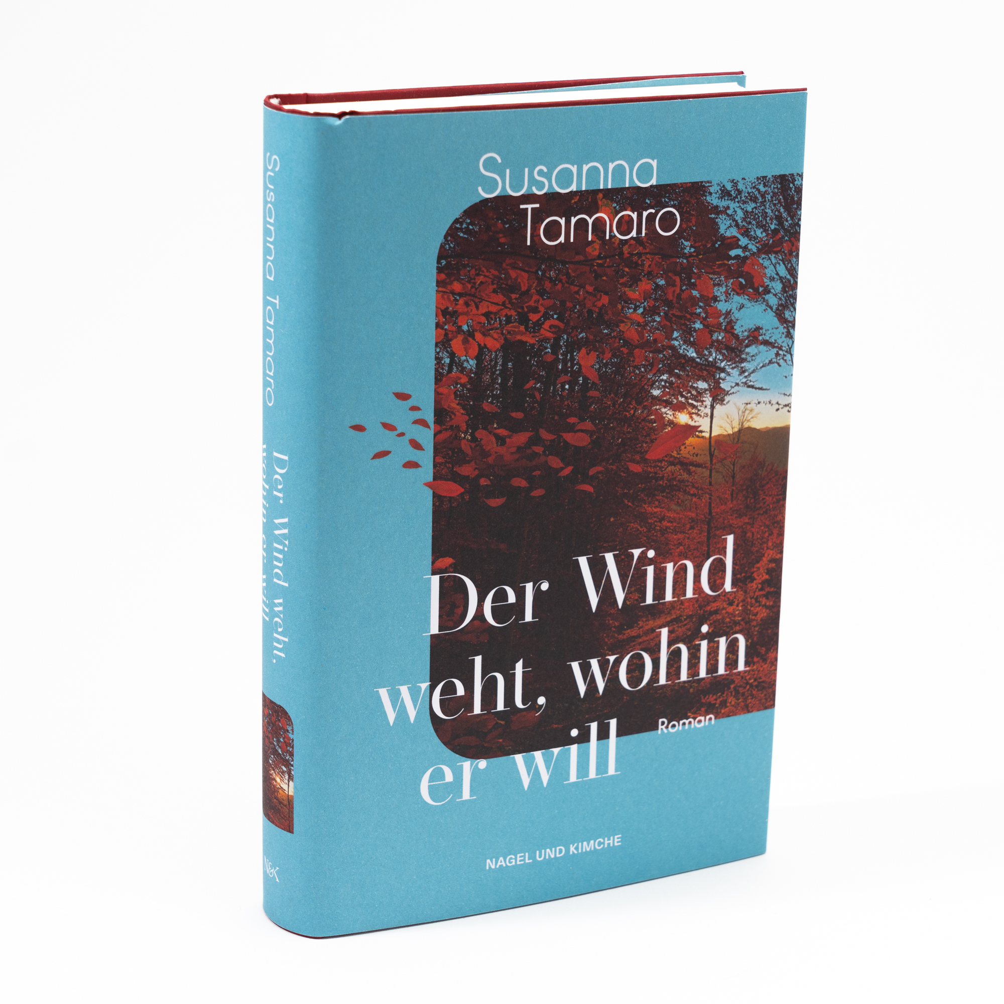 Beispielinhalt (Bild) Der Wind weht, wohin er will