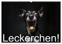 Vorderes Coverbild Leckerchen! (Wandkalender 2026 DIN A2 quer), CALVENDO Monatskalender