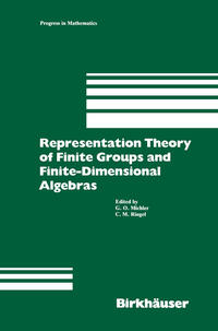 Vorderes Coverbild Representation Theory of Finite Groups and Finite-Dimensional Algebras