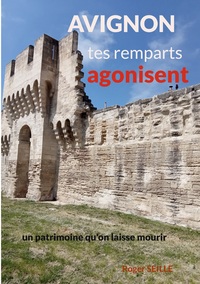 Vorderes Coverbild Avignon, tes remparts agonisent