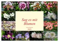 Vorderes Coverbild Sag es mit Blumen (Tischkalender 2025 DIN A5 quer), CALVENDO Monatskalender